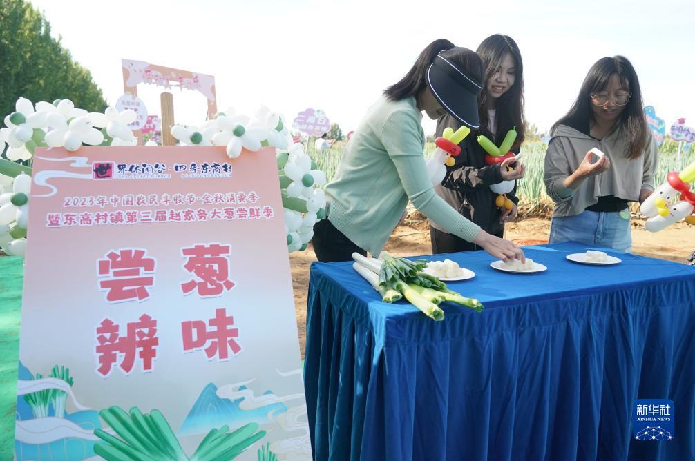 乐享棋牌苹果官网
